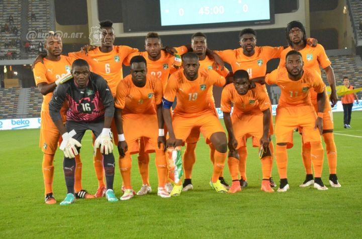 can-elephant-nigeria-abu-dhabi-0001