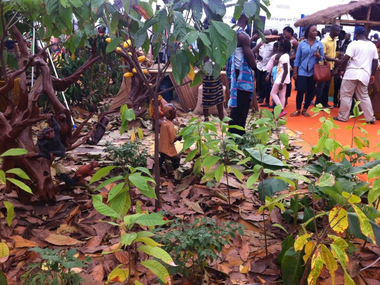 cacao-côtedivoire.jpg