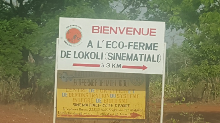 Eco-ferme Lokoli Sinématiali Korhogo Côte d'Ivoire