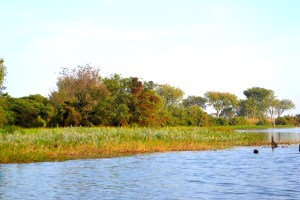 Eco-ferme Lokoli Sinématiali Korhogo Côte d'Ivoire