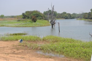 Eco-ferme Lokoli Sinématiali Korhogo Côte d'Ivoire